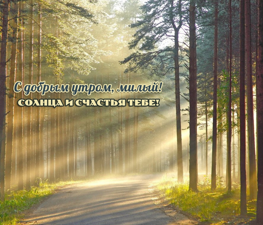 � ������ �����, �����! ������ � ������� ����!