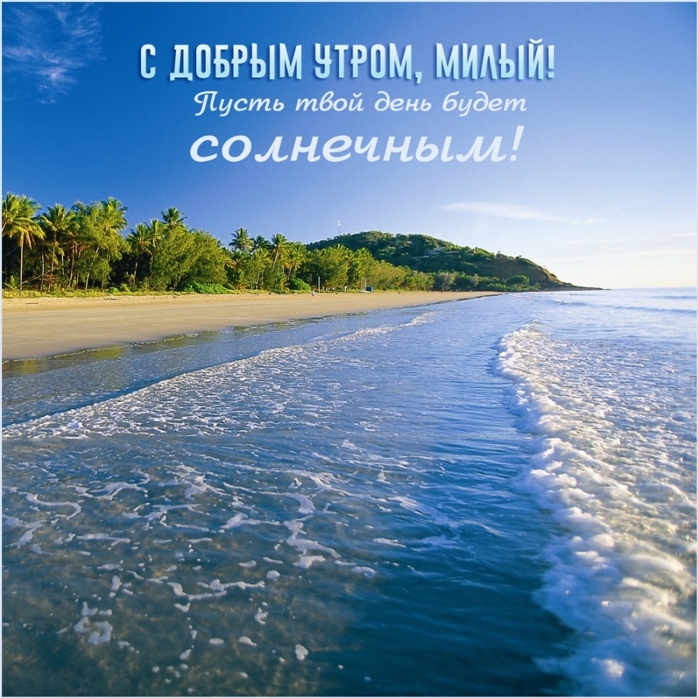 � ������ �����, �����! ����� ���� ���� ����� ���������!