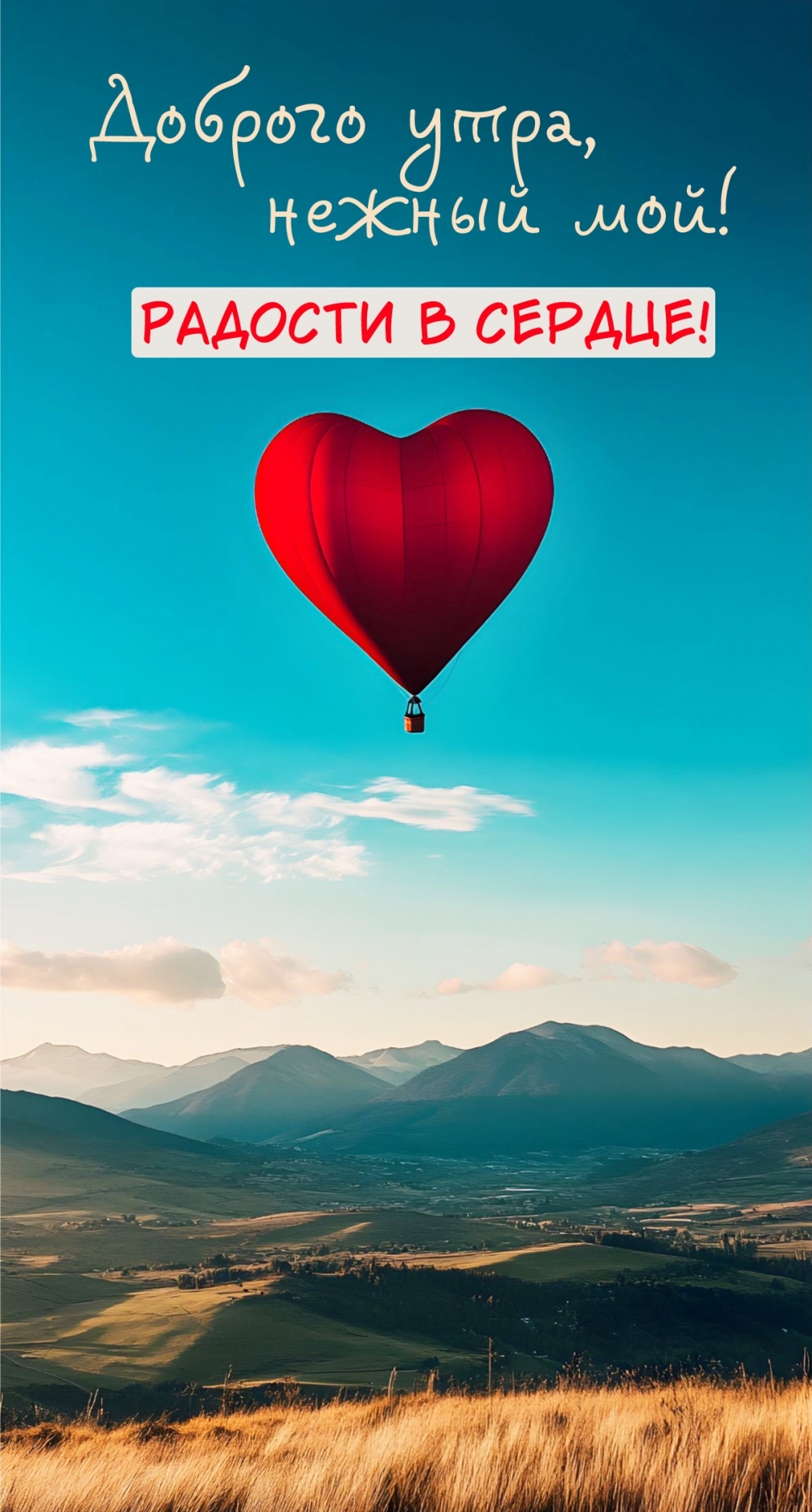 ������� ����, ������ ���! ������� � ������!