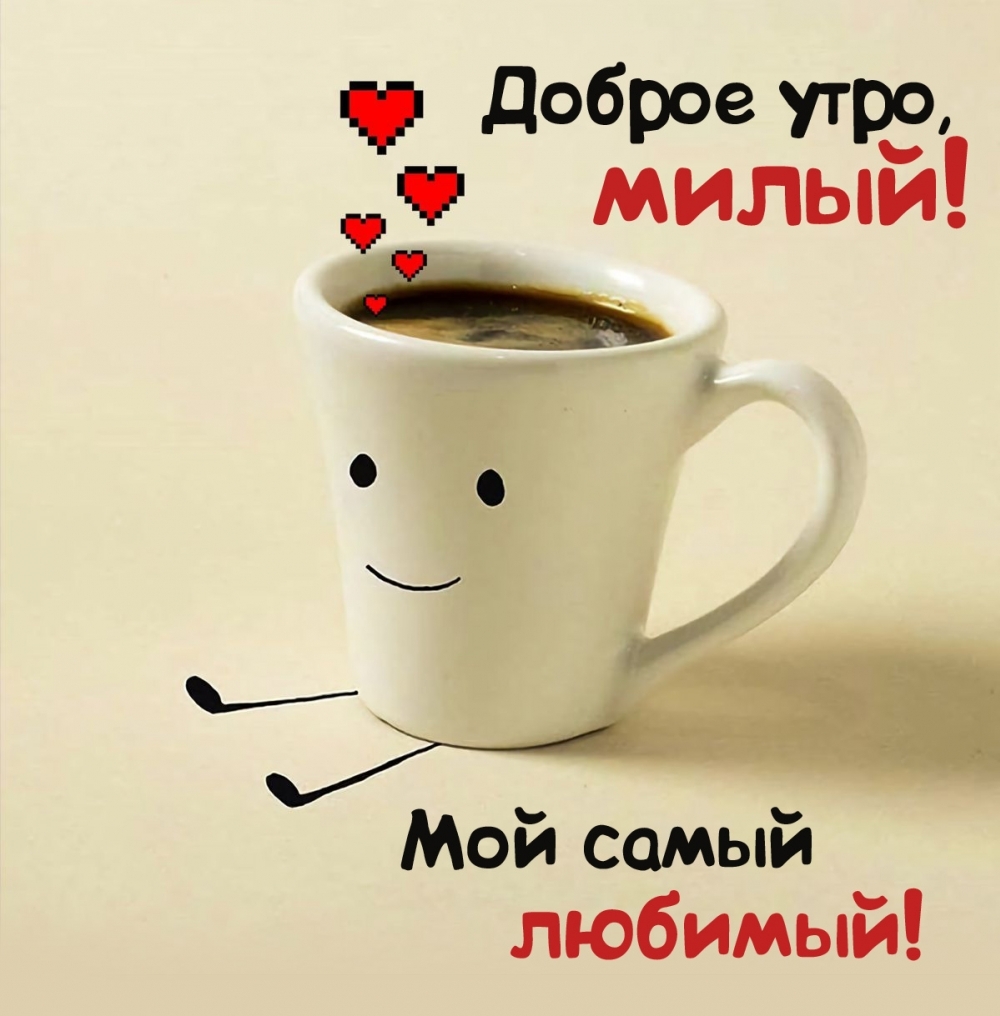 ������ ����, �����! ��� ����� �������!