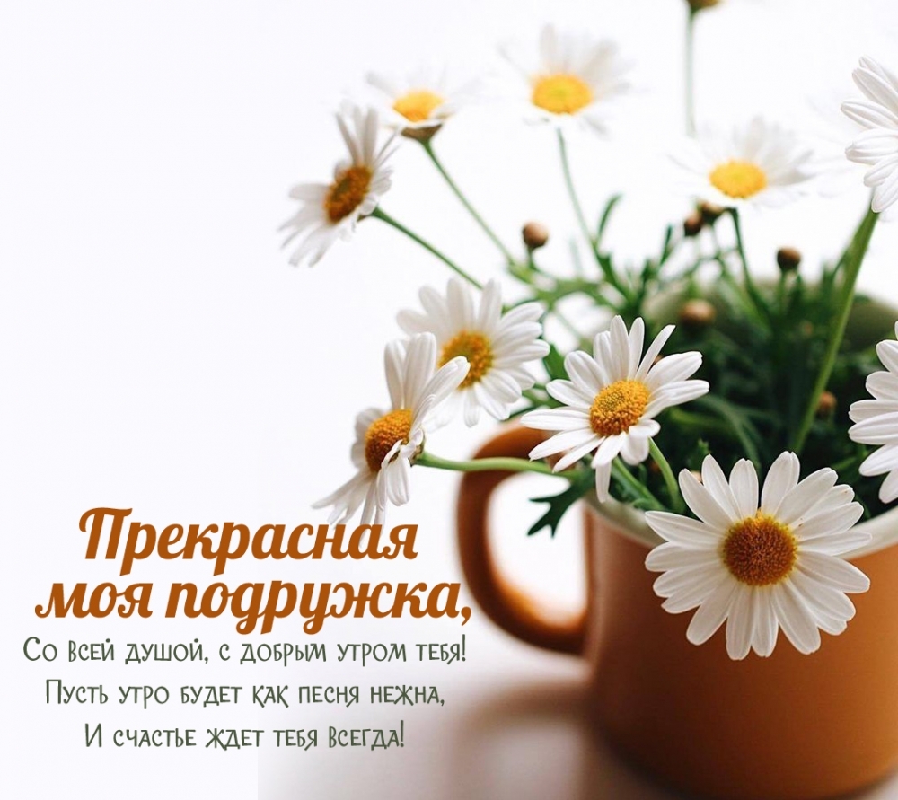 ���������� ��� ��������! �� ���� �����, � ������ ����� ����!