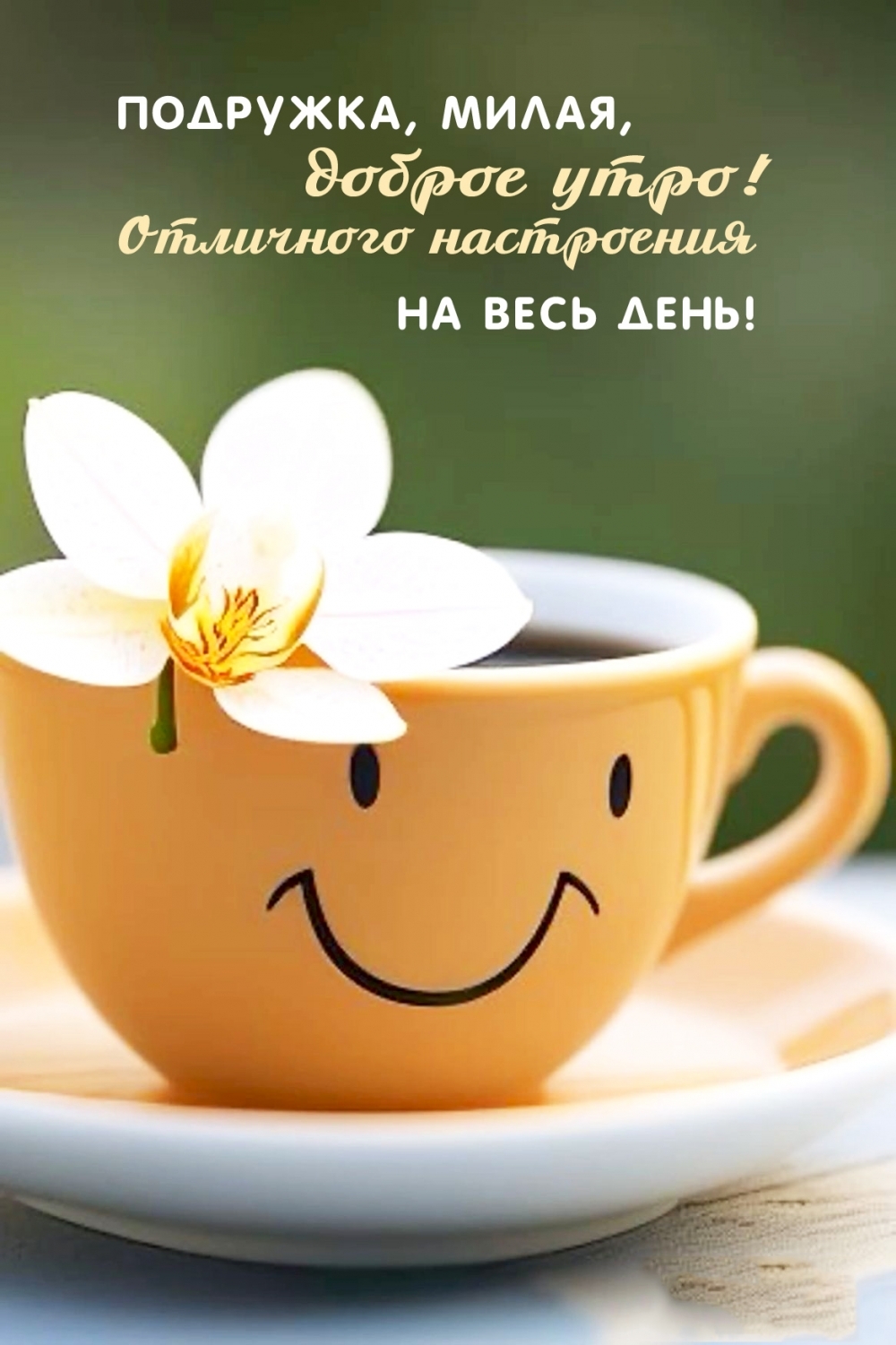 ��������, �����, ������ ����! ��������� ���������� �� ���� ����!