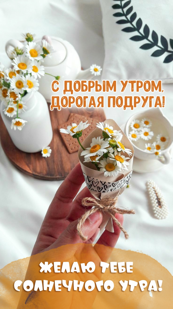 � ������ �����, ������� �������! ����� ���� ���������� ����!