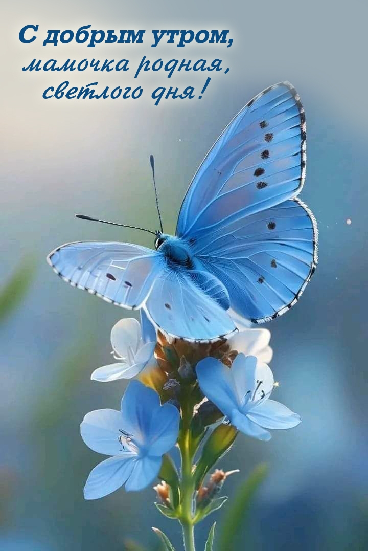 � ������ �����, ������� ������, �������� ���!