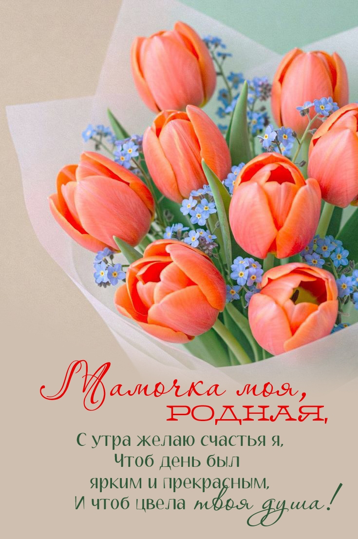 ������� ���, ������, � ���� ����� ������� �