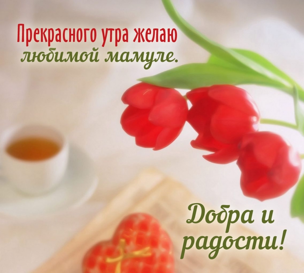 ����������� ���� ����� ������� ������. ����� � �������!