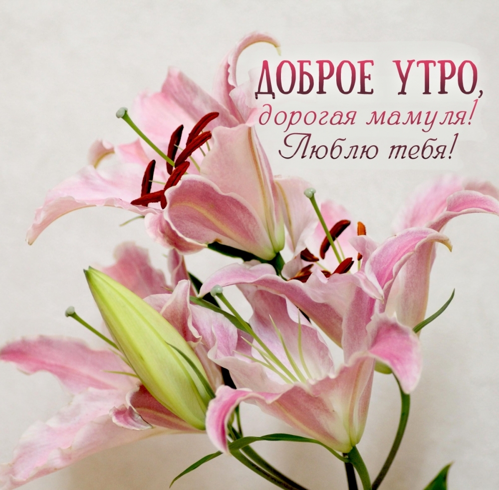 ������ ����, ������� ������! ����� ����!