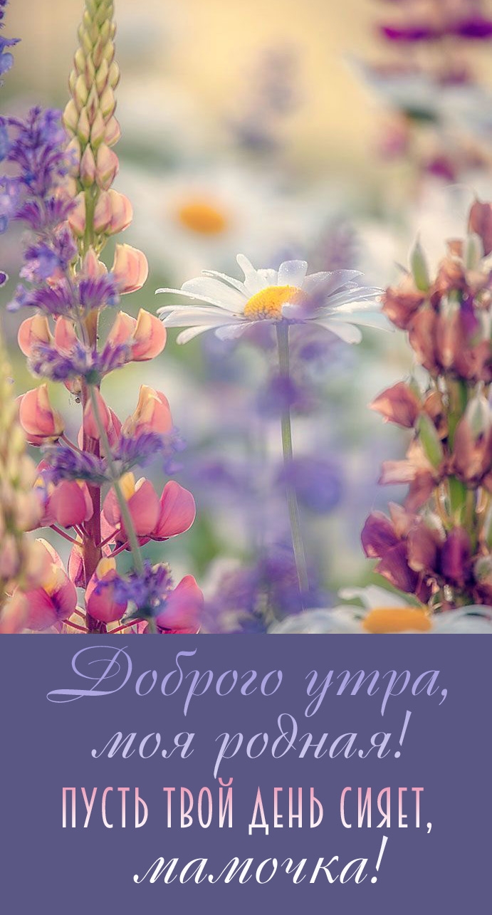 ������� ����, ��� ������! ����� ���� ���� �����, �������!