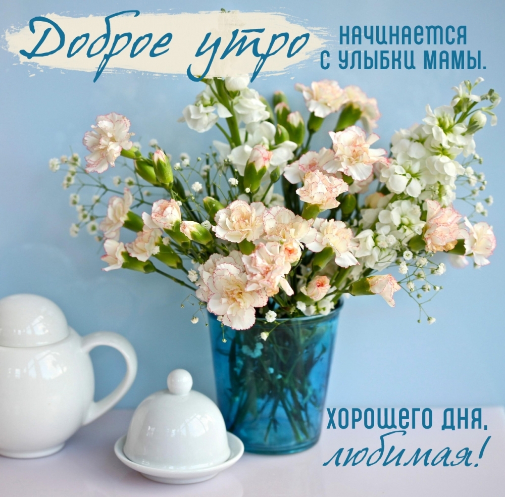 ������ ���� ���������� � ������ ����. �������� ���, �������!