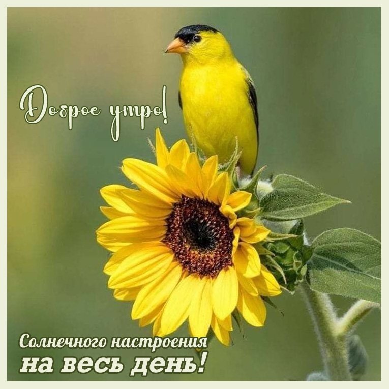 ������ ����! ���������� ���������� �� ���� ����!