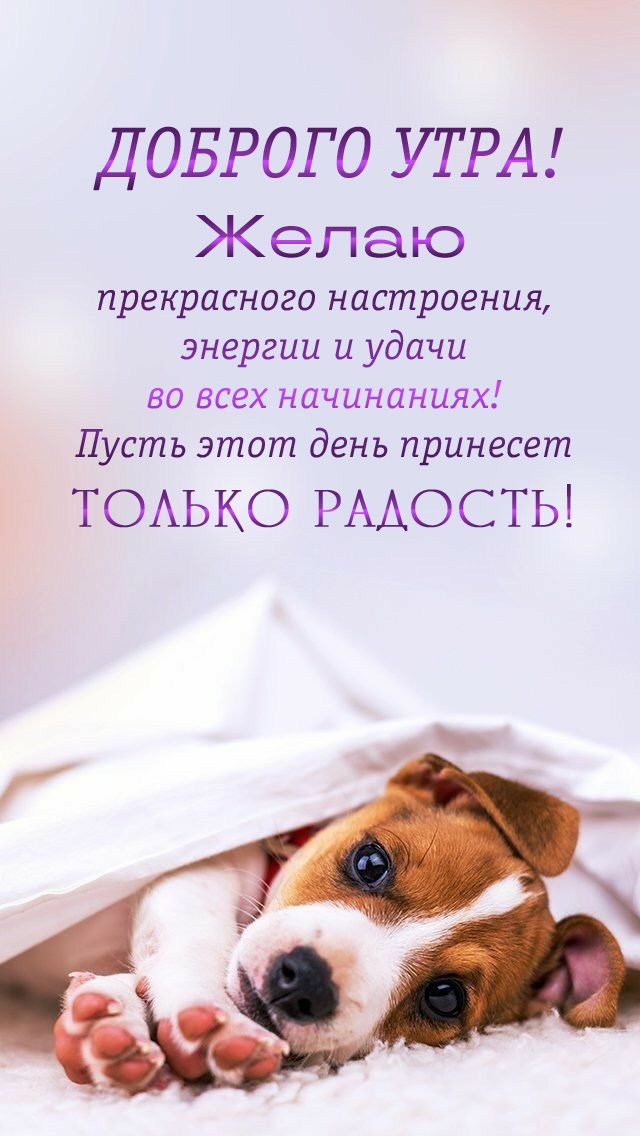 ������� ����! ����� ����������� ����������!