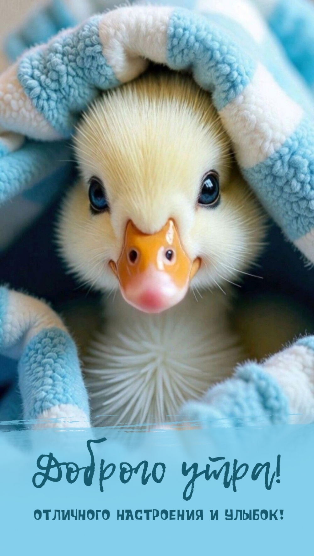 ������� ����! ��������� ���������� � ������!