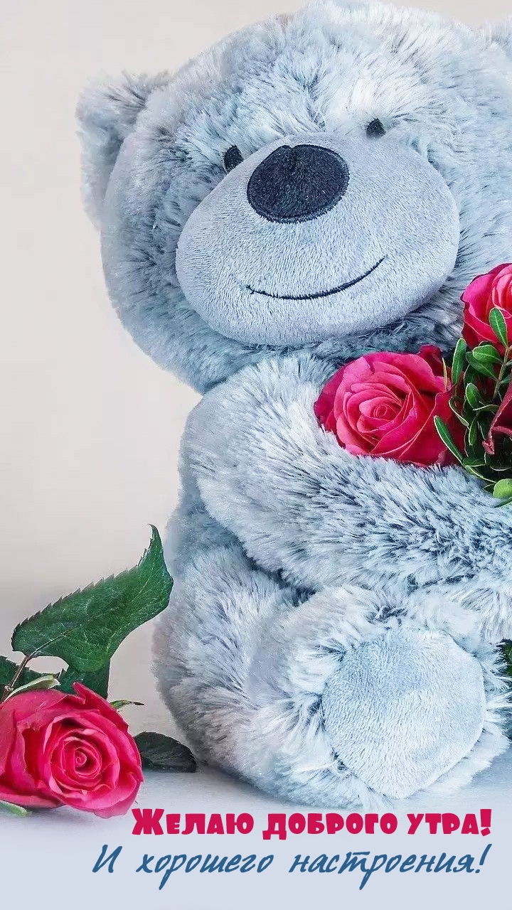 ����� ������� ����! � �������� ����������!