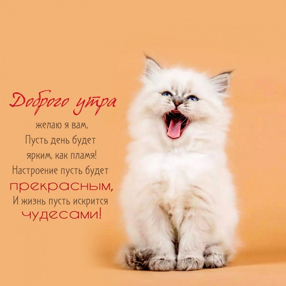 ������� ���� ����� � ���!