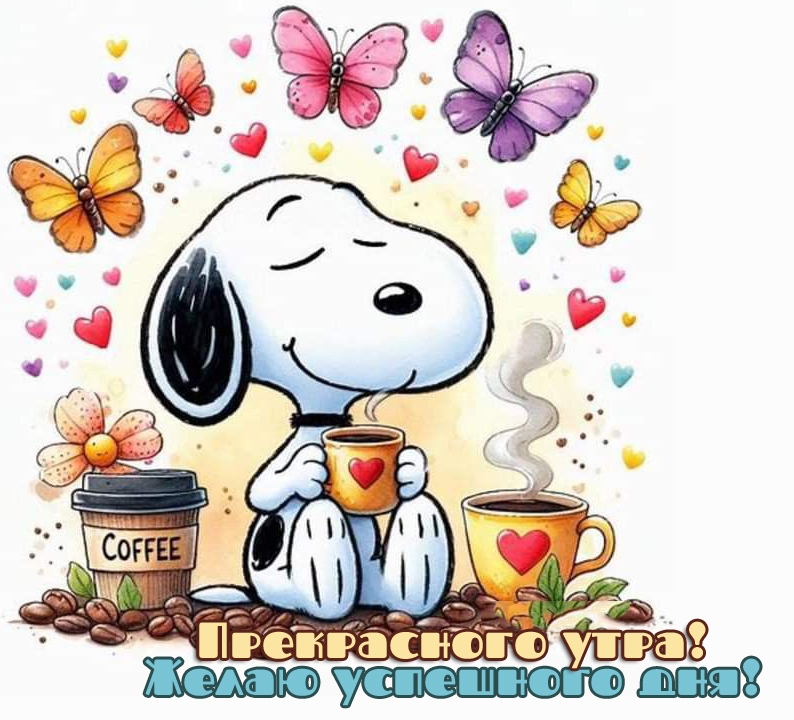 ����������� ����! ����� ��������� ���!