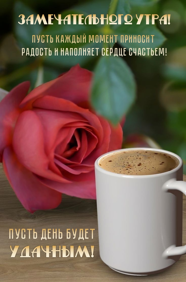 �������������� ����! ����� ���� ����� �������!