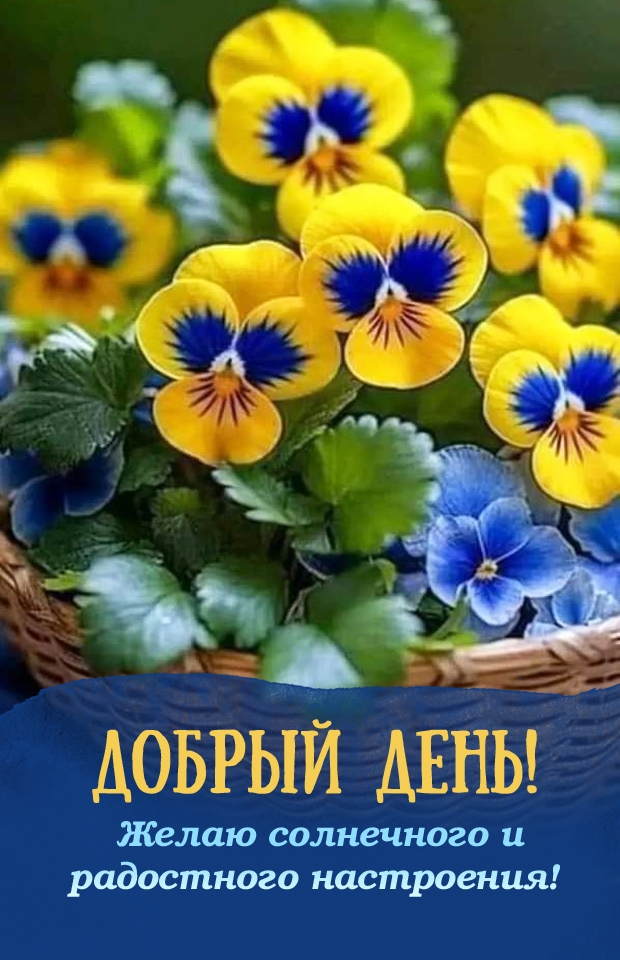 ������ ����! ����� ���������� � ���������� ����������!