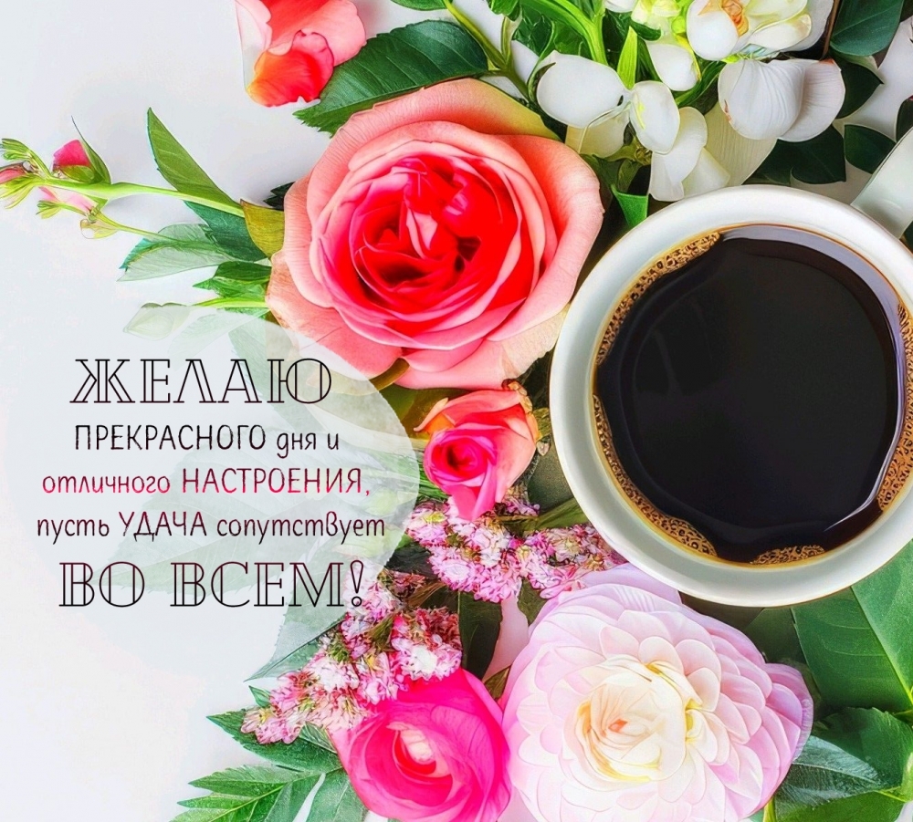 ����� ����������� ��� � ��������� ����������!