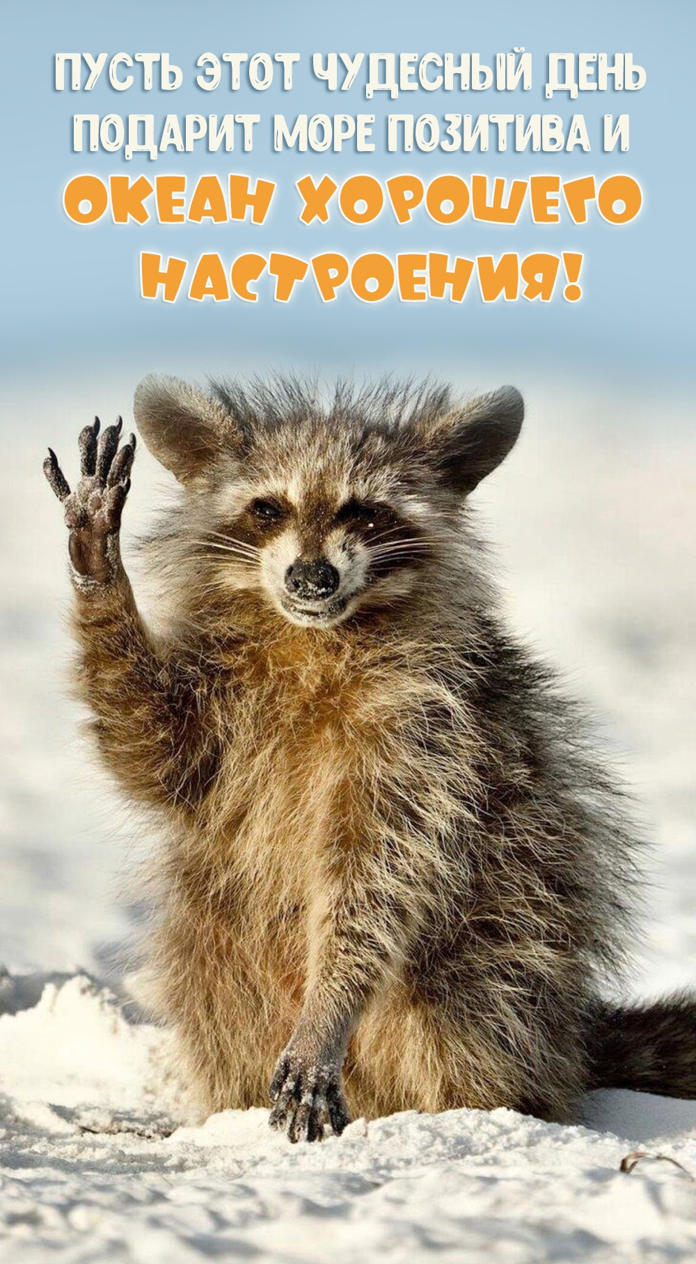 ����� ���� �������� ���� ������� ���� ��������!