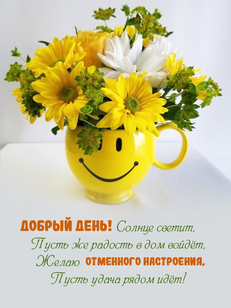 ������ ����! ������ ������!