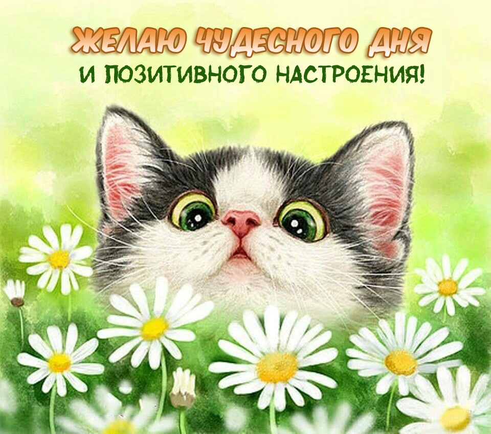 ����� ��������� ��� � ����������� ����������!