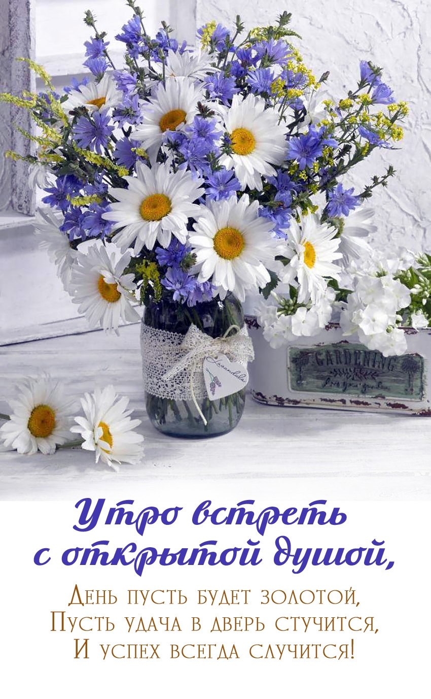 ���� ������� � �������� �����!