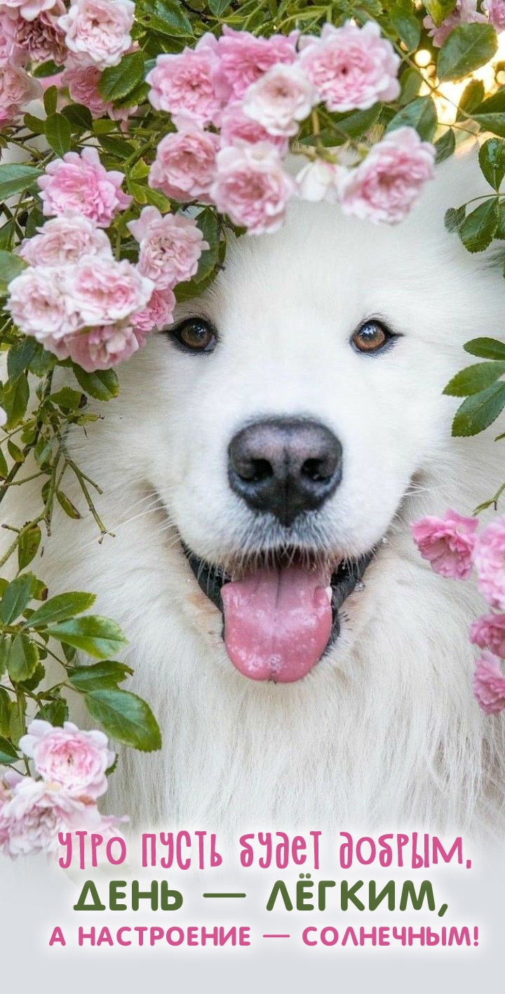 ���� ����� ����� ������, ���� � �����!