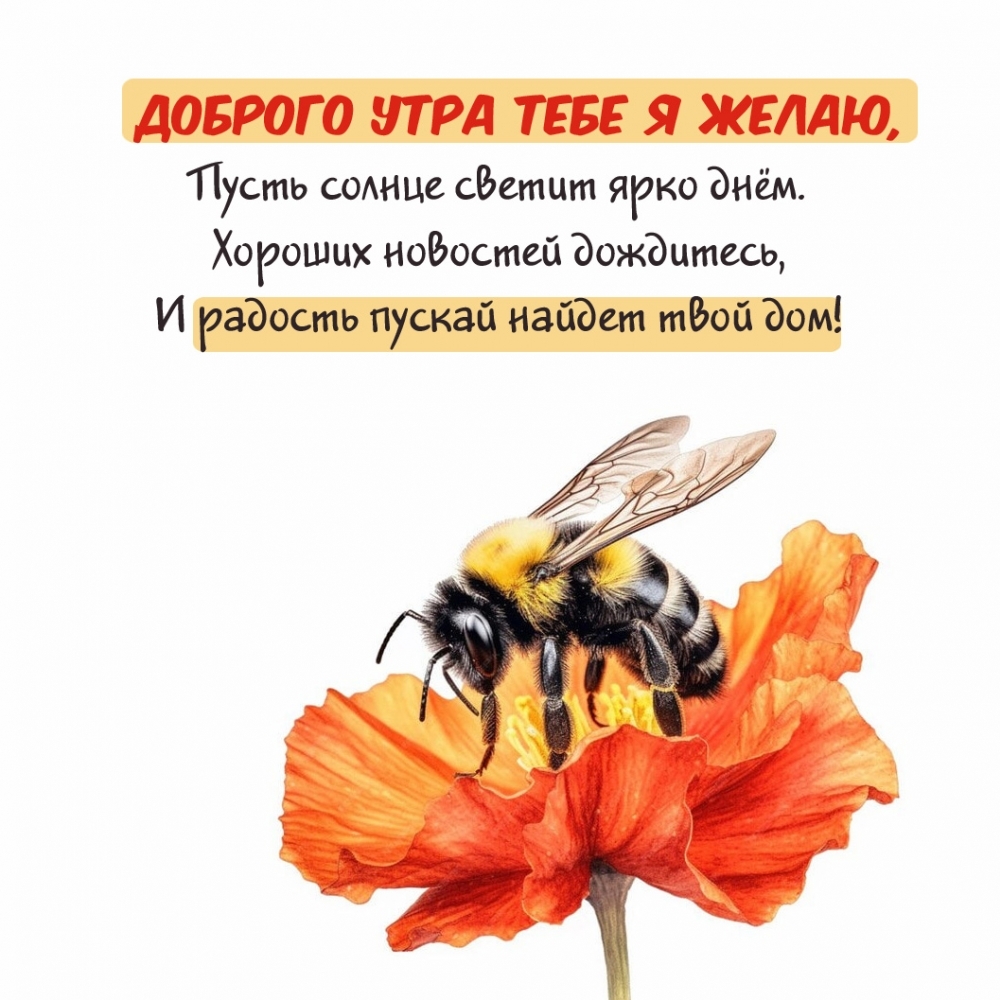 ������� ���� ���� � �����, ����� ������ ������ ���� ����