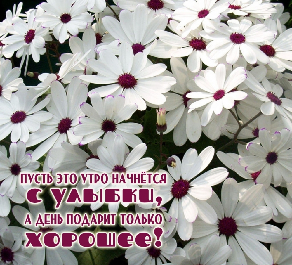 ����� ��� ���� �������� � ������, � ���� ������� ������ �������!