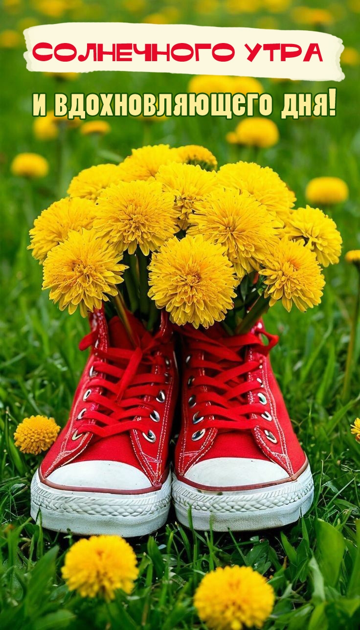 ���������� ���� � �������������� ���!