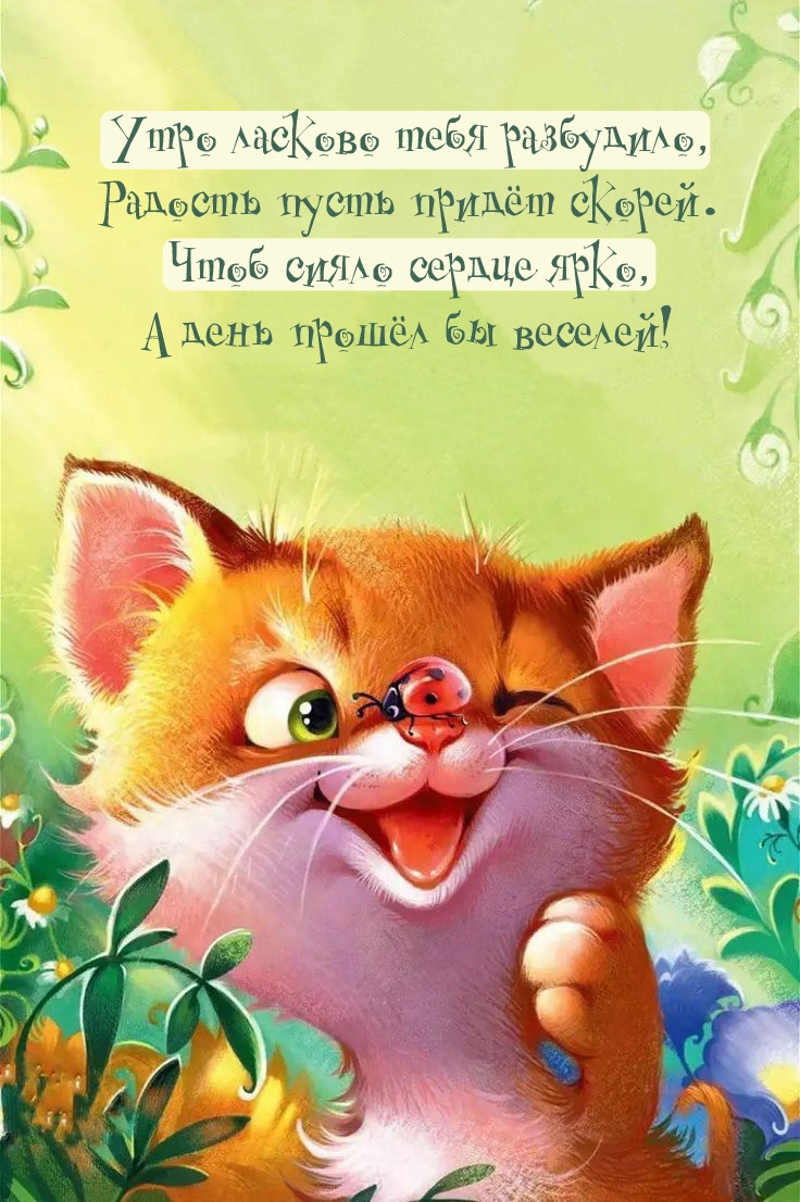 ���� ������� ���� ���������!