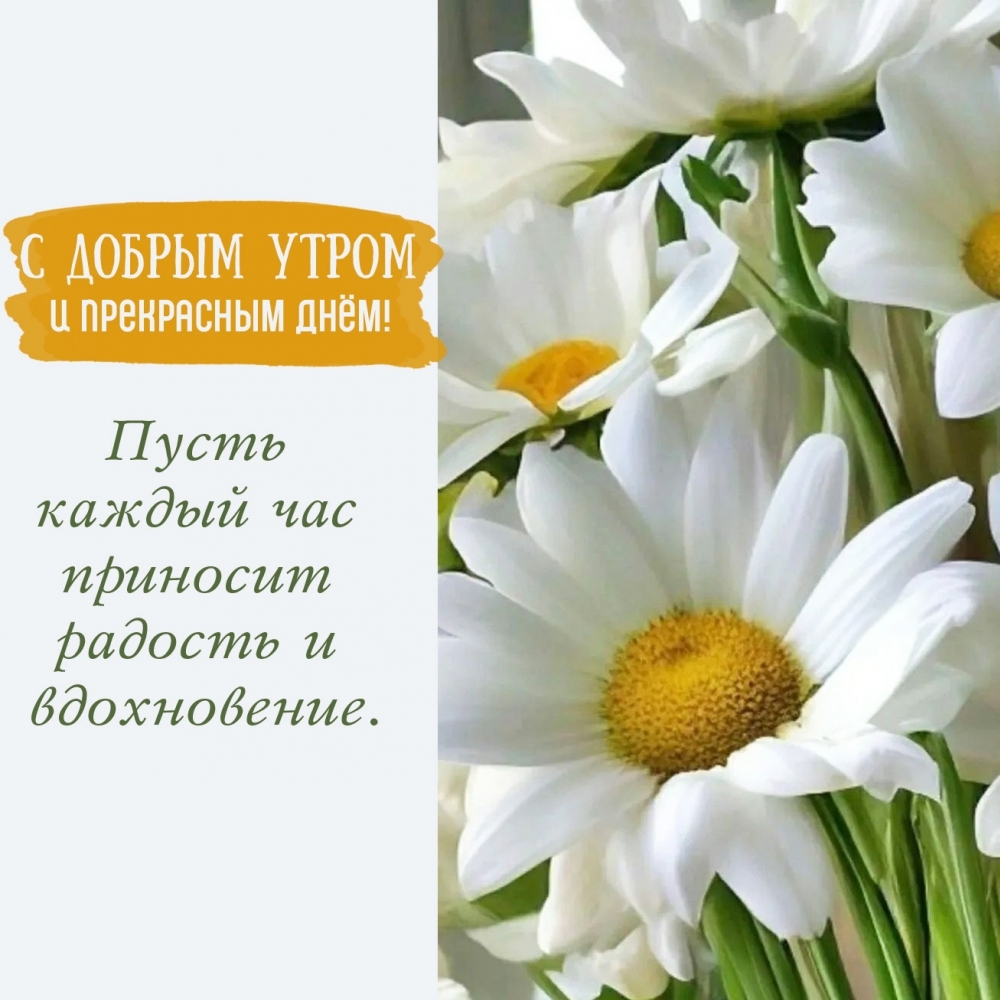 � ������ ����� � ���������� ����!