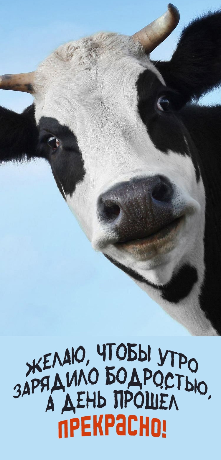 �����, ����� ���� �������� ���������, � ���� ������ ���������!