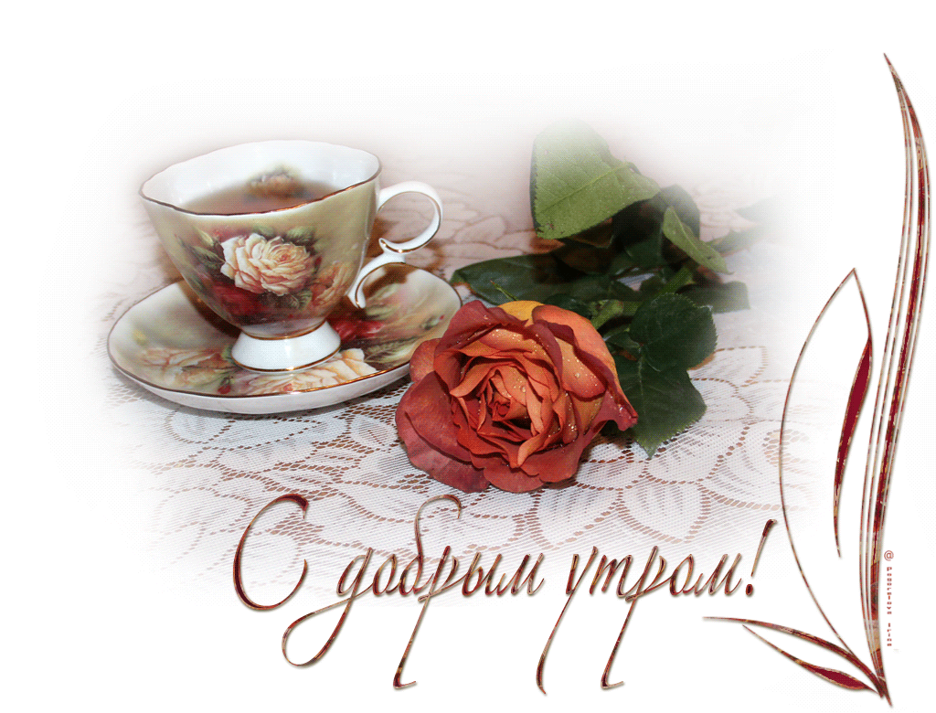 С добрым утром! роза и чашка кофе