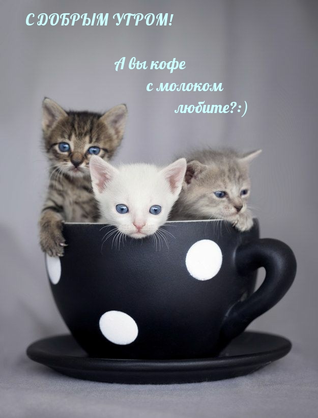 С ДОБРЫМ УТРОМ! А вы кофе с молоком любите?:)