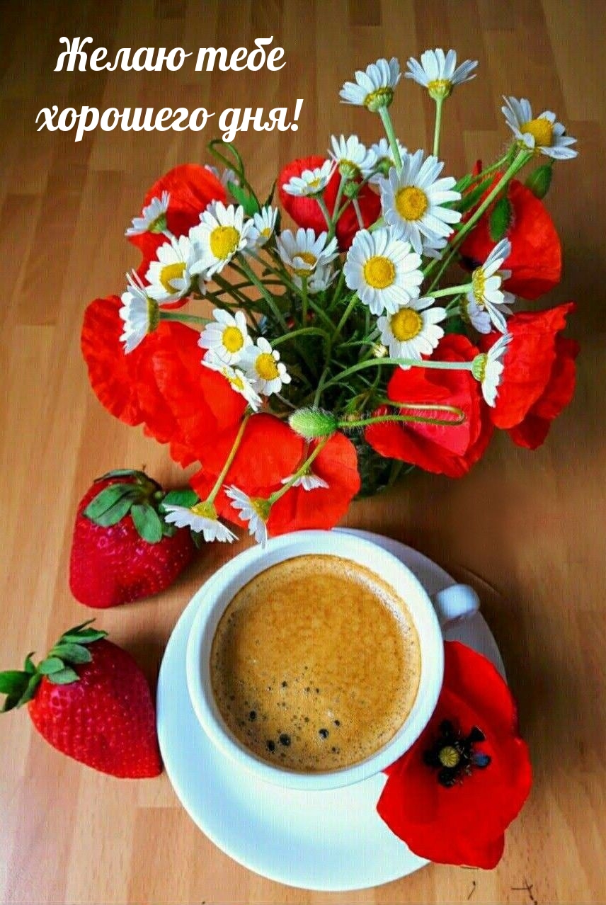Доброе утро картинки оригинальные. Кофе и цветы. Чашка кофе и ромашки. Ромашки и кофе. С добрым утром с маками и ромашками.