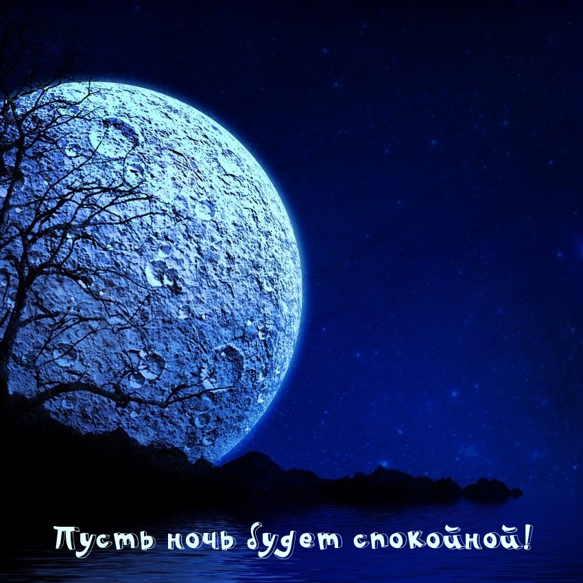 Песни пусть будет ночь. Ночь картинки. Очень красивая Луна. Луна в лесу фото.