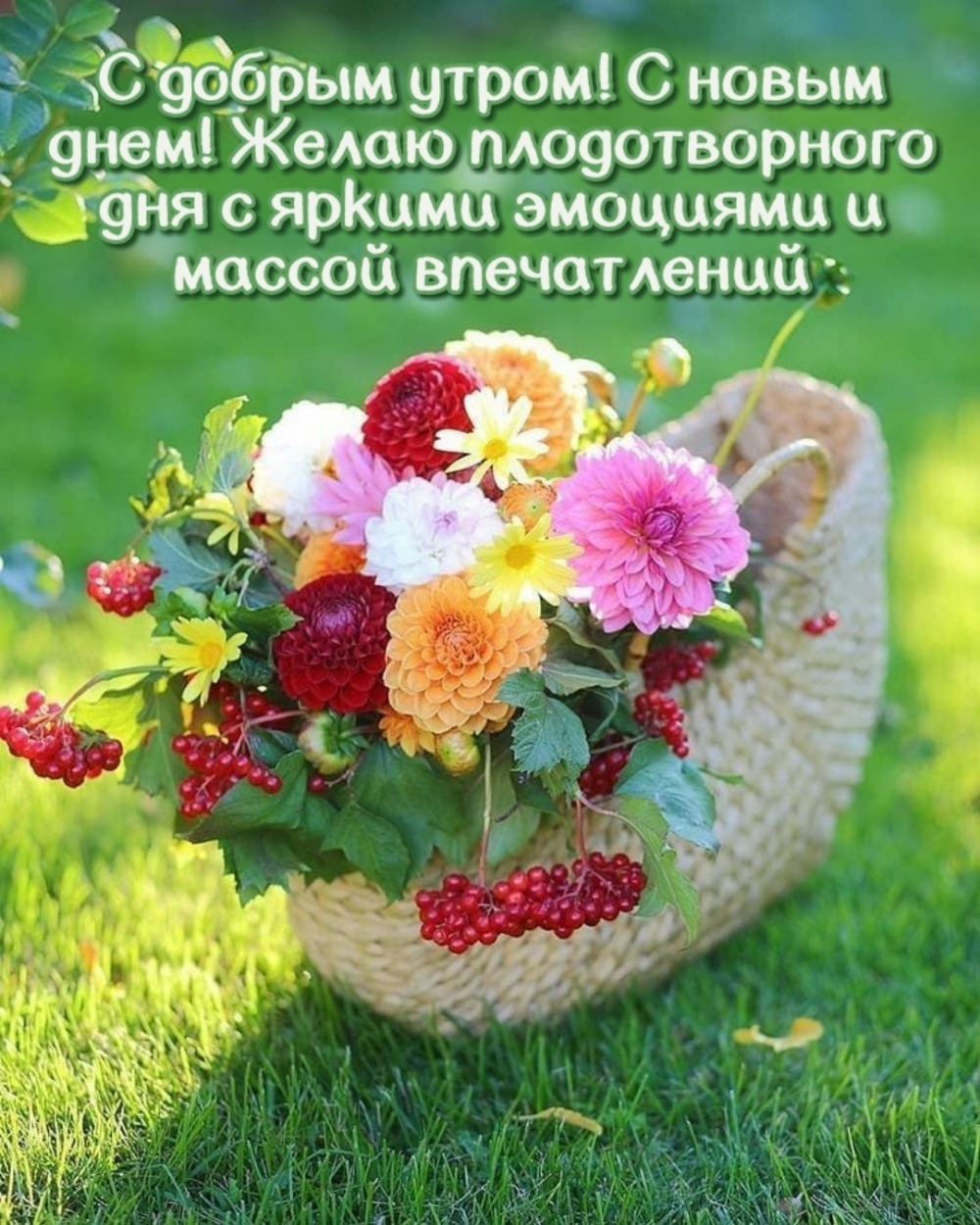 Картинка с цветами доброе утро хорошего дня. Летние цветы. Красивый летний букет. Летние цветочные композиции. Августовские цветы.