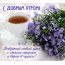 Встречай новый день с лёгким сердцем и верой в чудеса!
