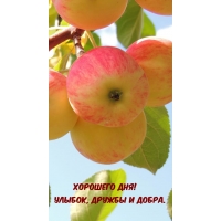 Хорошего дня! Улыбок, дружбы и добра.