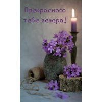 Прекрасного тебе вечера!