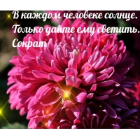 В каждом человеке солнце. Только дайте ему светить.