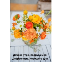 Доброе утро, подруга моя, Доброе утро, хорошего дня.