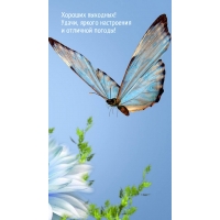 ������� ��������! �����, ������ ���������� � �������� ������! 