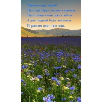Чудесного утра, милый! Пусть утро будет светлым и чудесным.