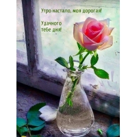Утро настало, моя дорогая! Удачного тебе дня!