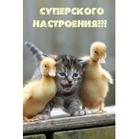 Суперского настроения!