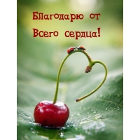 Благодарю от Всего сердца!