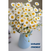 Большое Спасибо!