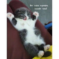 Вот такое огромное спасибо тебе!